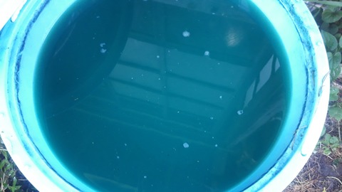 20200829_112649