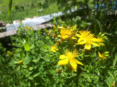 20190616_100417