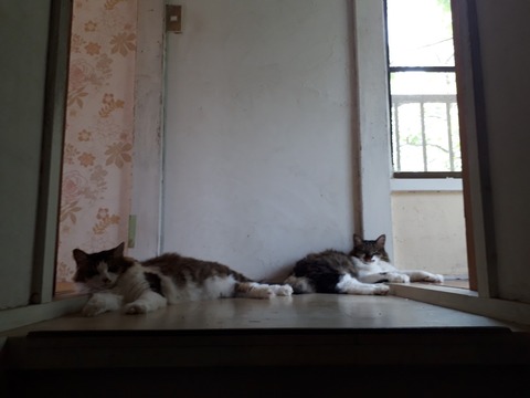 20180729_104801