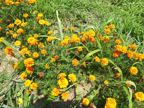 20180719_110143