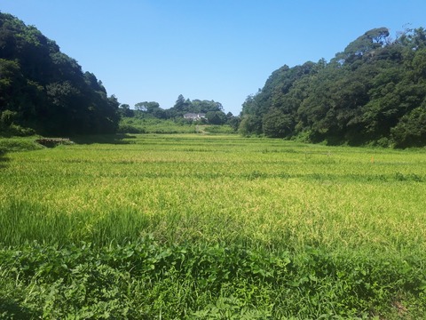 20190825_141606