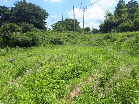 20190626_103305