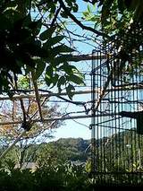 79e977d7.jpg