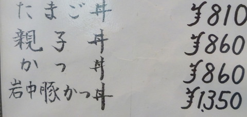 DSC04703