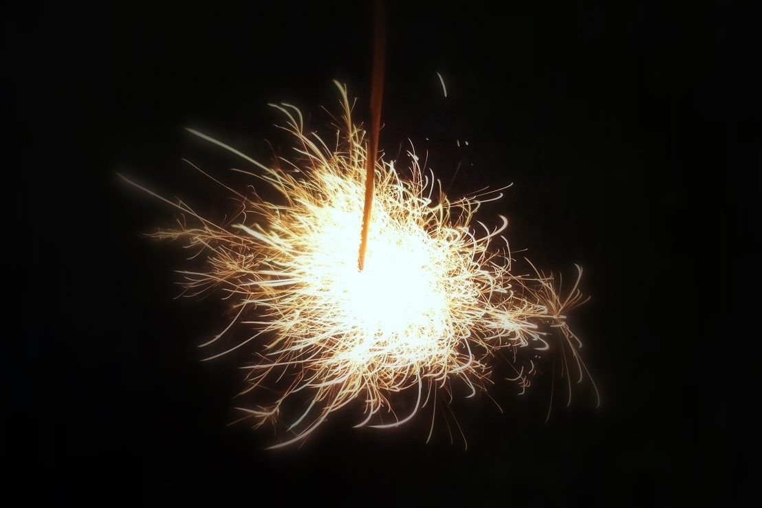 線香花火 たぬきパラダイス