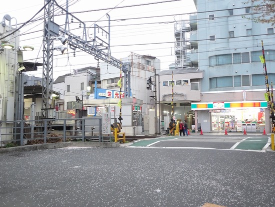 DSC06015