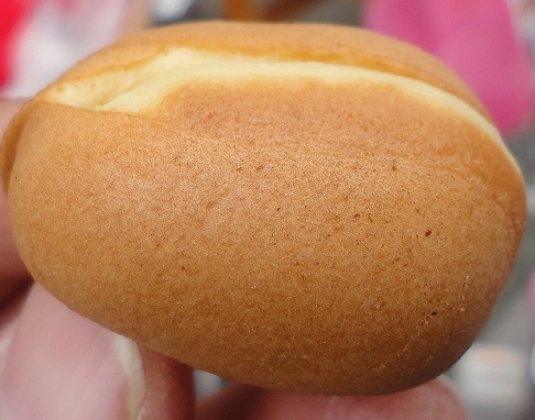DSC05261