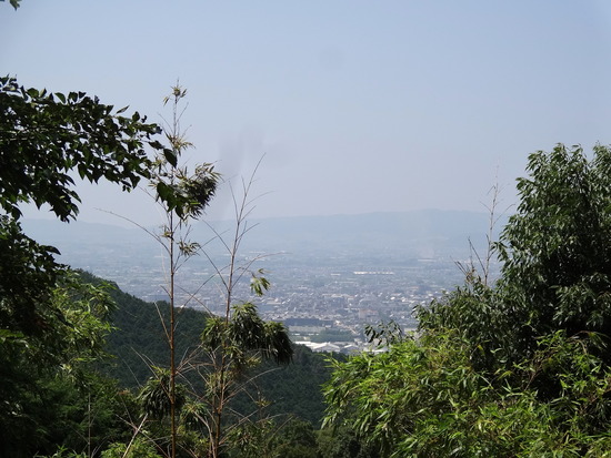DSC01795
