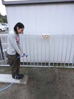 �Ҥޤ��ۤ���