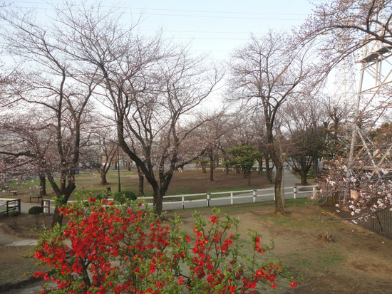 DSC00083