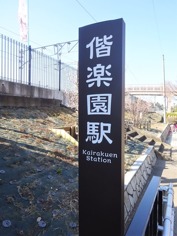 DSC09022