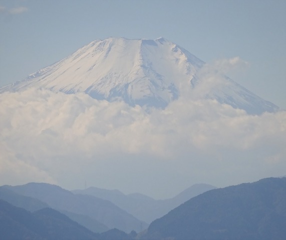 DSC07979