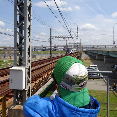 DSC00703