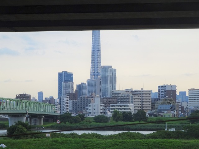 DSC06636