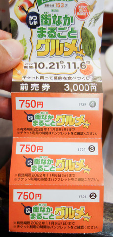 DSC05321-01-20221029