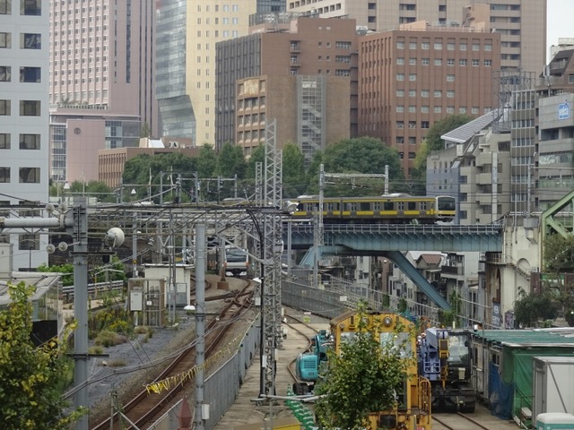 DSC05516