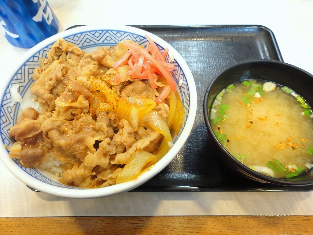 牛丼戦争 たぬきパラダイス