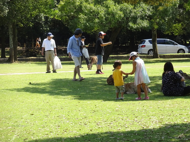 DSC02336