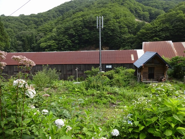 DSC01965