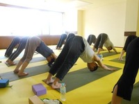 DSCN0608