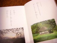 CIMG2786