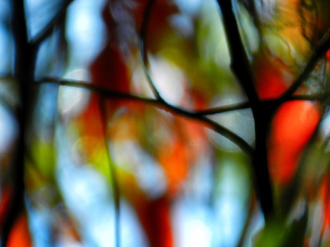 DSCN3628