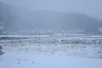 IMG_2502
