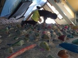 IMG_5531