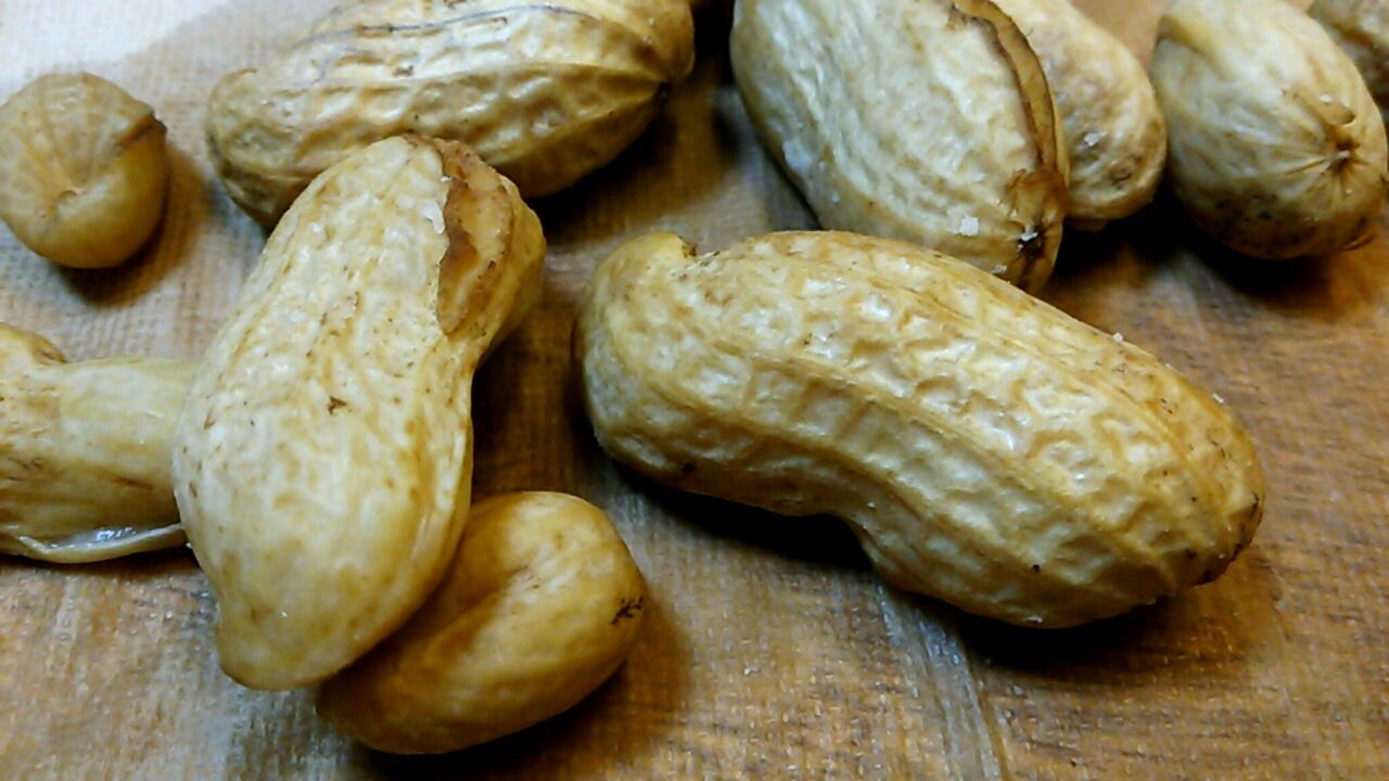 番外編 おおまさり 落花生の種類です 蕎麦巡 そばめぐ