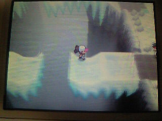 つよいポケモン よわいポケモン そんなのひとのかって ほんとうに