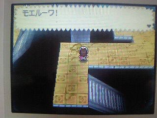 つよいポケモン よわいポケモン そんなのひとのかって ほんとうにつよいトレーナーなら すきなポケモンでかてるよう がんばるべき Sela S Dialy つよいポケモン よわいポケモン そんなのひとのかって ほんとうにつよいトレーナーなら すきなポケモンでかてるよう がんばるべき Sela S Dialy