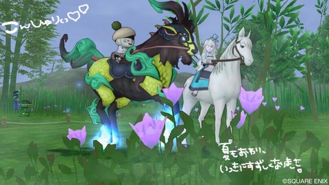 その343  チムクエと、あれがあれば！