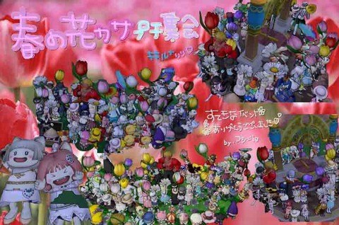 その407  春の花カサプチ集会。