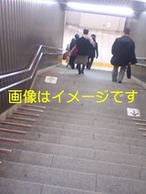 18007027.jpg
