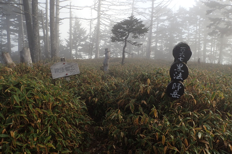 南アルプス深南部、丸盆岳東尾根～黒法師～前黒法師② : 山のにほひ