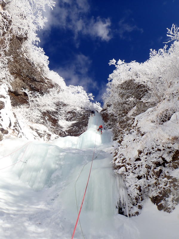 八ヶ岳アイス、大同心大滝＆三叉峰ルンゼ : 山のにほひ、磯のかほり
