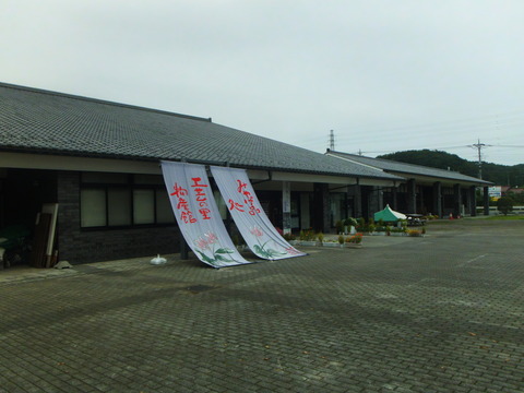 DSCF3205