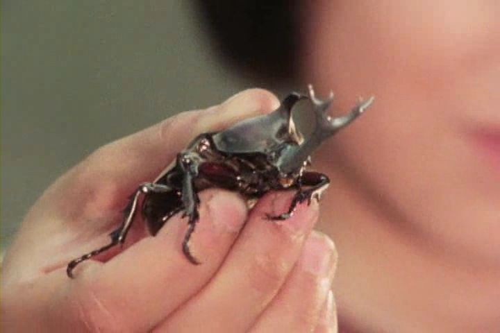 スパイダーマン東映版 第9話「動くアクセサリーは恋のカブト虫スパイ