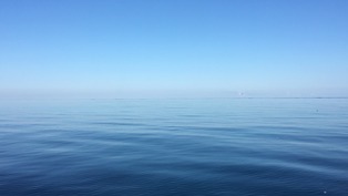 image11