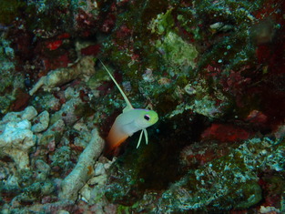 P1030036