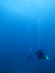 IMG_1469