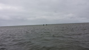 20150408_145917-1
