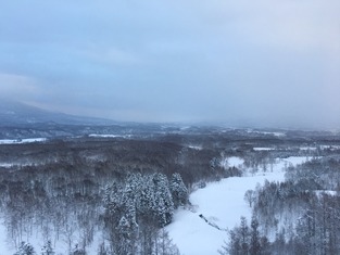 IMG_9980