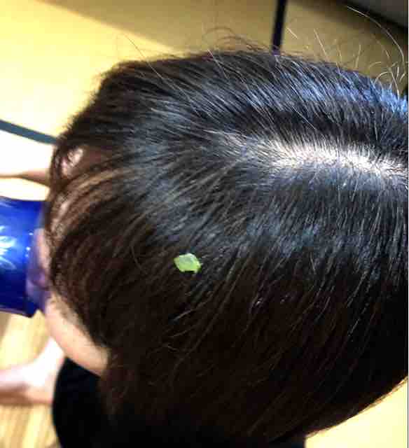 ハゲかけて る もりともとその愉快な家族たち Part２