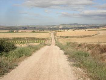 DSC07716