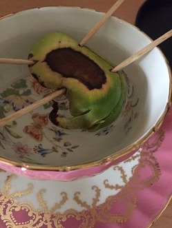 mango5