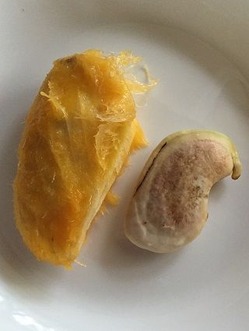 mango3