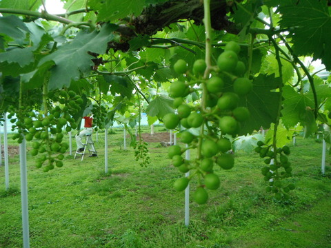 DSCF2297