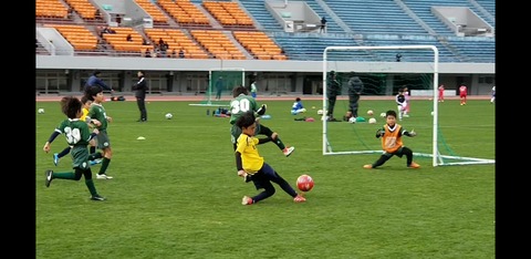 Screenshot_20191230-032534_Photos