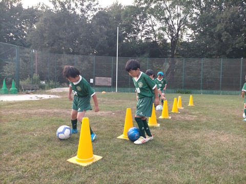 IMG20200819174310